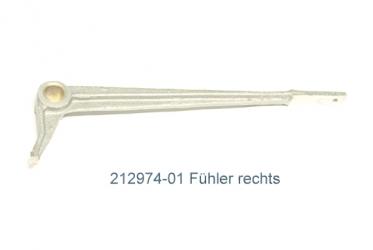 Fühler rechts 