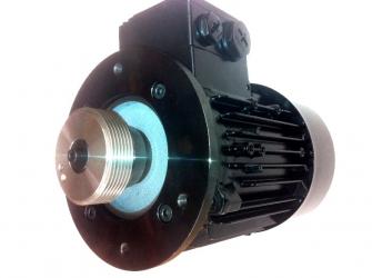 Drehstrom-Motor 230/460V 60Hz 