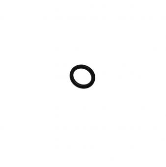 o-ring 